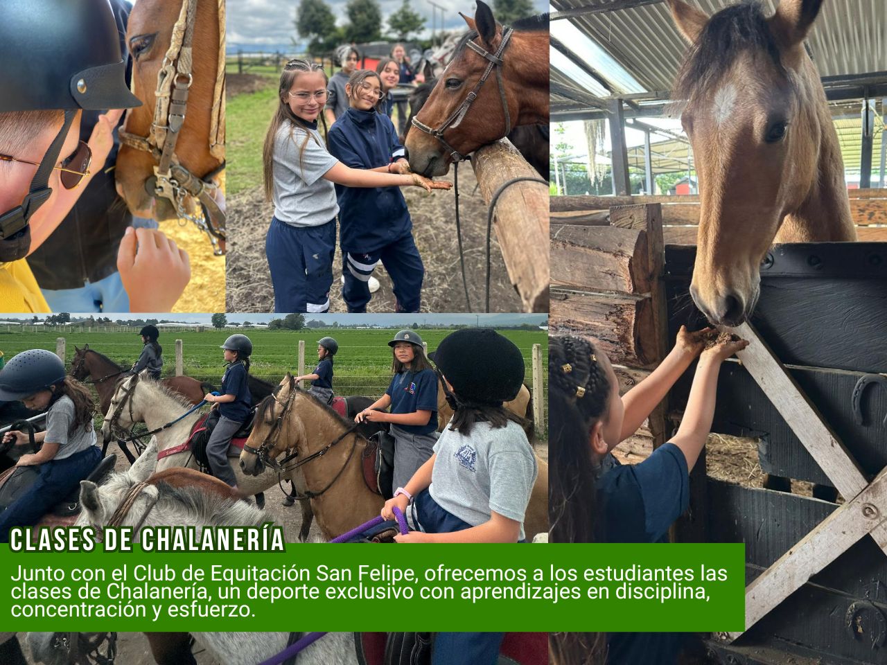 Arte, Energía y Pasión 